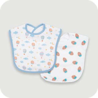 Up And Away & Strawberry Rush Toddler Bibs